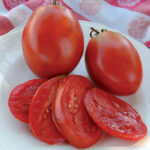 0107-amish-paste-tomato